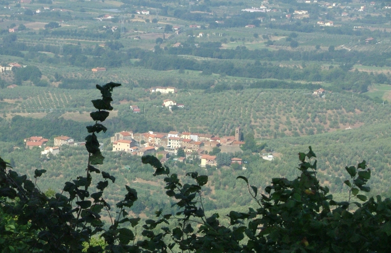 Borgo di Cecina